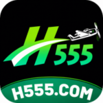 H555 Game